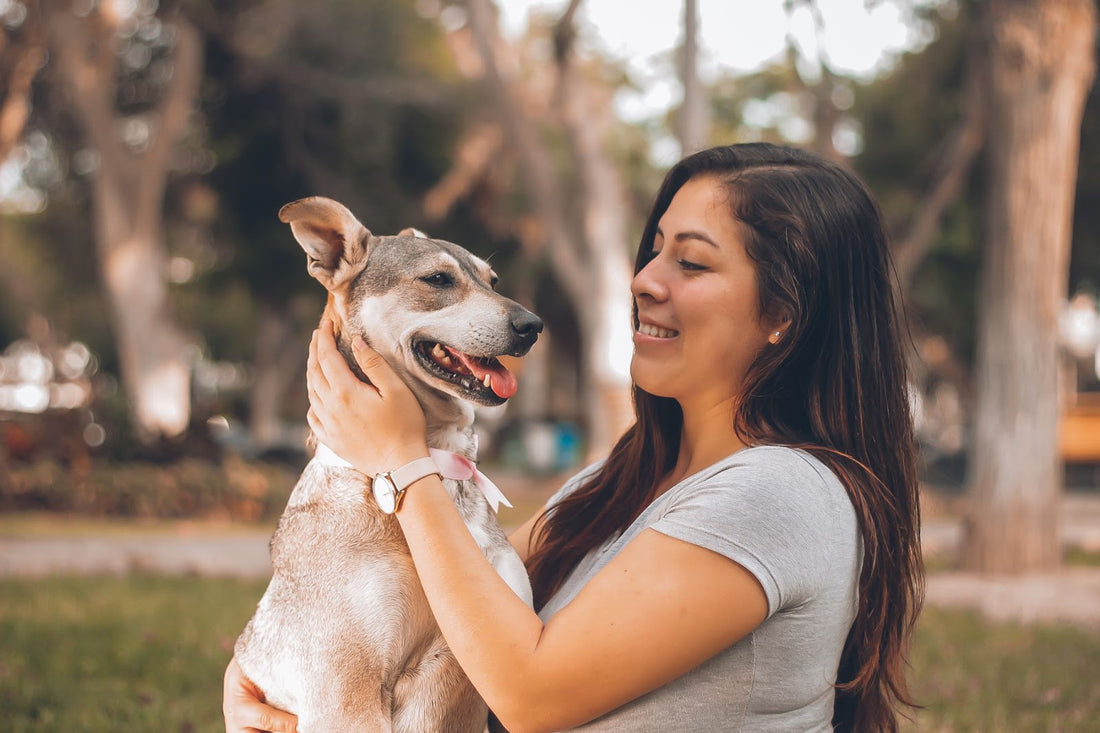 How To Calm Down A Dog With Anxiety