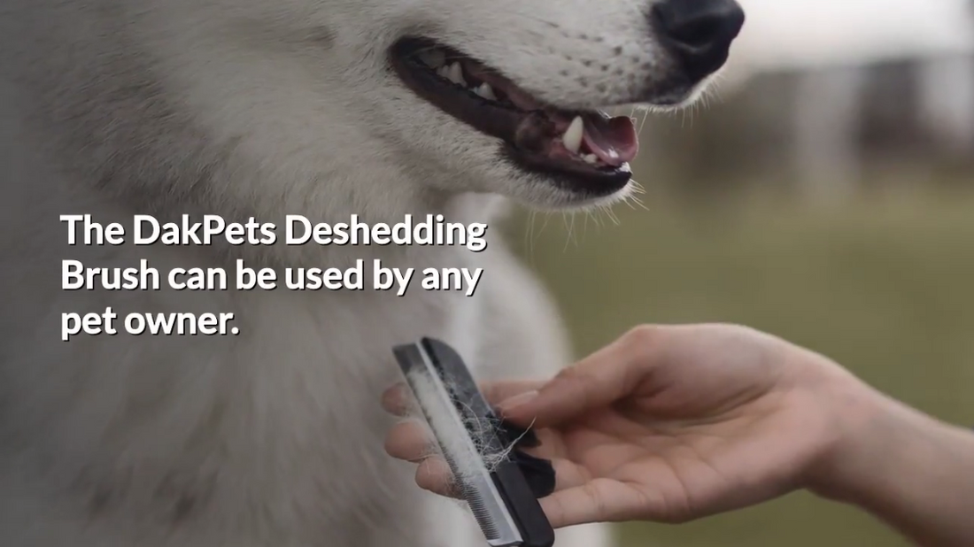 What Is A Deshedding Brush?